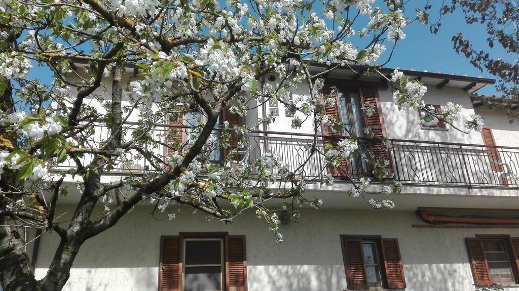 Bed And Breakfast Casale Isorella San Gemini Exterior foto